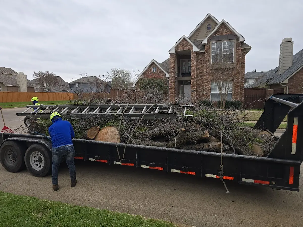 Expert Tree Pest Control with proper safety equipment in Alburnett
